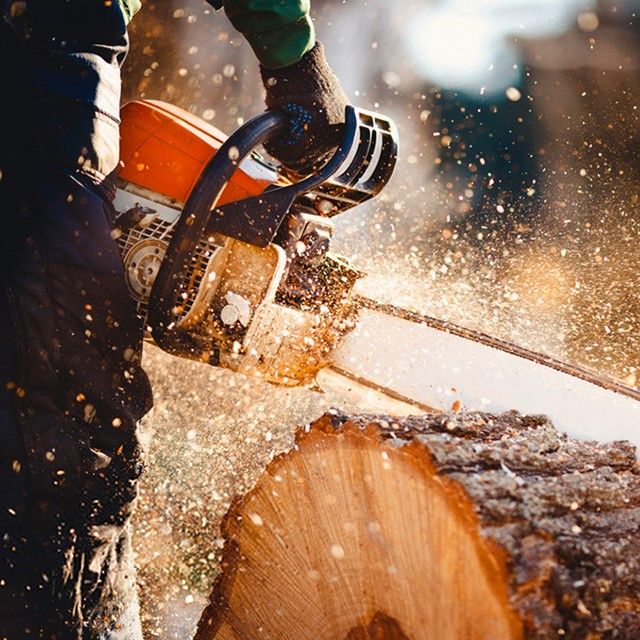 Tree Cutting services in Caseyville, IL